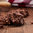 Double Chocolate Cookies mit Walnüssen